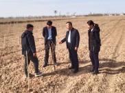 安阳商都农商银行多措并举保障春耕生产，涉农贷款发放超8.55亿元