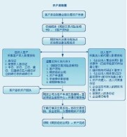 股指期货开户条件及流程详解，50万资金要求与网上开户指南