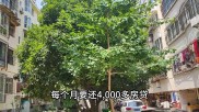 贷款买房有必要吗？月供4000断供两个月，后悔成无期徒刑