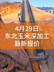 渤海商品交易所玉米（东北）挂牌上市，首日开盘价1970元/吨