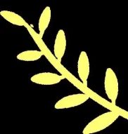 甜蜜爱情邂逅后竟陷桃色陷阱，百万借款为何化为泡影？