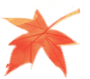 深圳公积金制度发展成果显著，非公企业成缴存主力