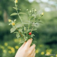 金融骗局暗藏亲情陷阱？熟人推荐理财需警惕，老王故事揭示风险真相