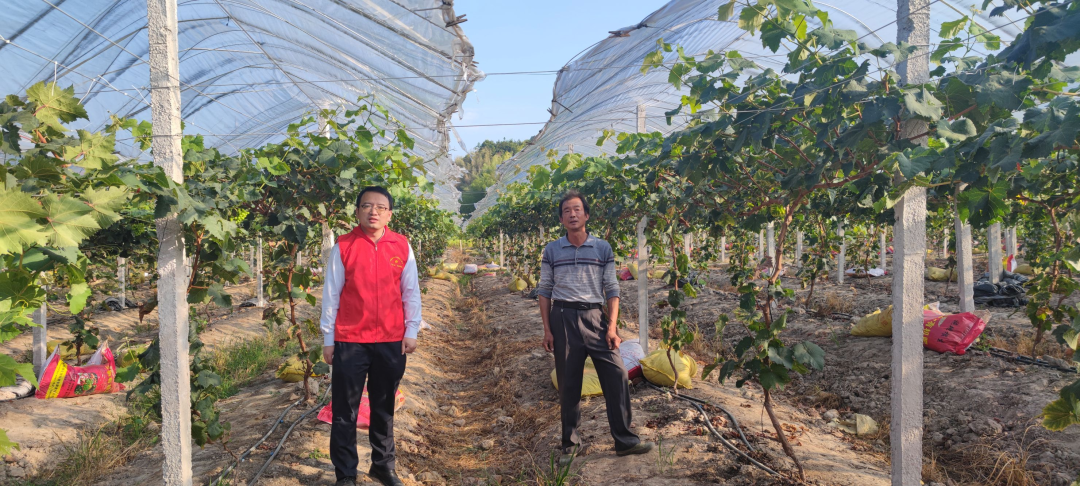 福建农信贷款业务_福建省农村信用社贷款系统_福建农村信用社贷款系统