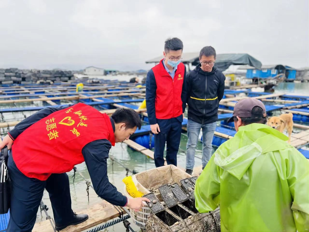 福建省农村信用社贷款系统_福建农信贷款业务_福建农村信用社贷款系统
