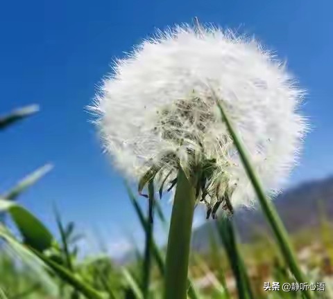 熟人诈骗_金融圈理财真假_金融骗局