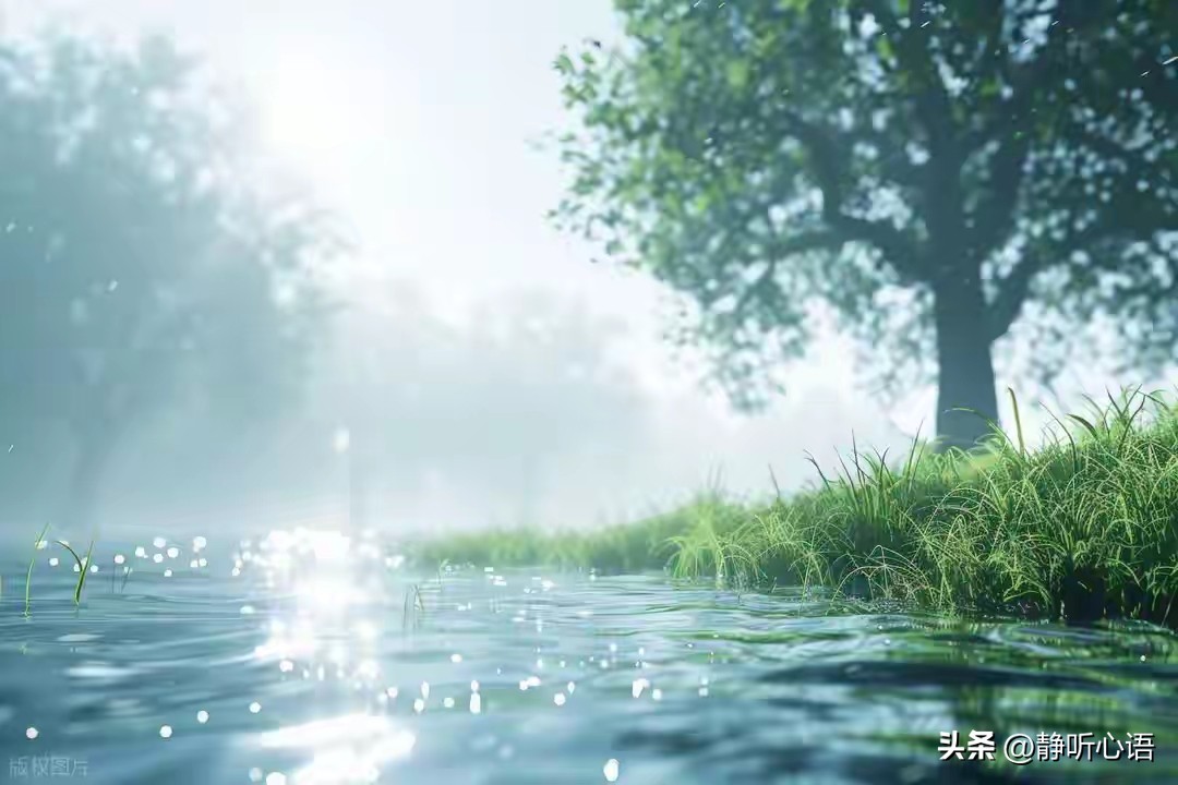 金融骗局_金融圈理财真假_熟人诈骗