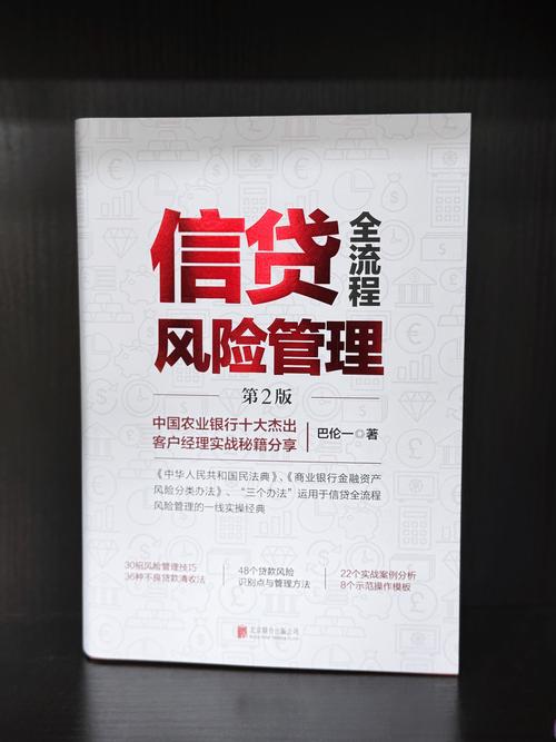 个贷风险_个人住房按揭贷款风险防范_中都支行贷款业务发展策略