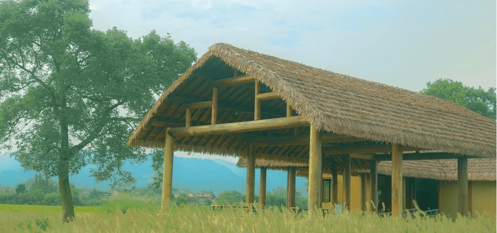 股指期权功能与影响_国内期货开户_期货期权开户流程