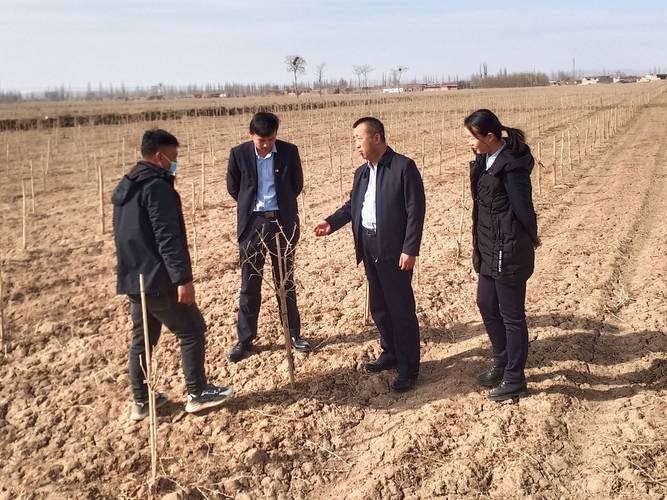 春耕备播资金需求_安阳商都银行个贷产品_安阳商都农商银行春耕贷款