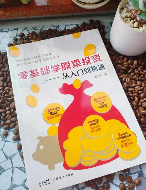 新股民快速入门 江山_股票新手投资指南_长期投资策略