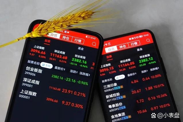 转融券市场化约定申报次日可用_暂停限售股出借新规_转融券业务权益补偿