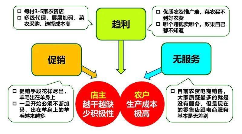 寿光果蔬开户流程_寿光蔬菜质量安全管理_寿光蔬菜稳产保供