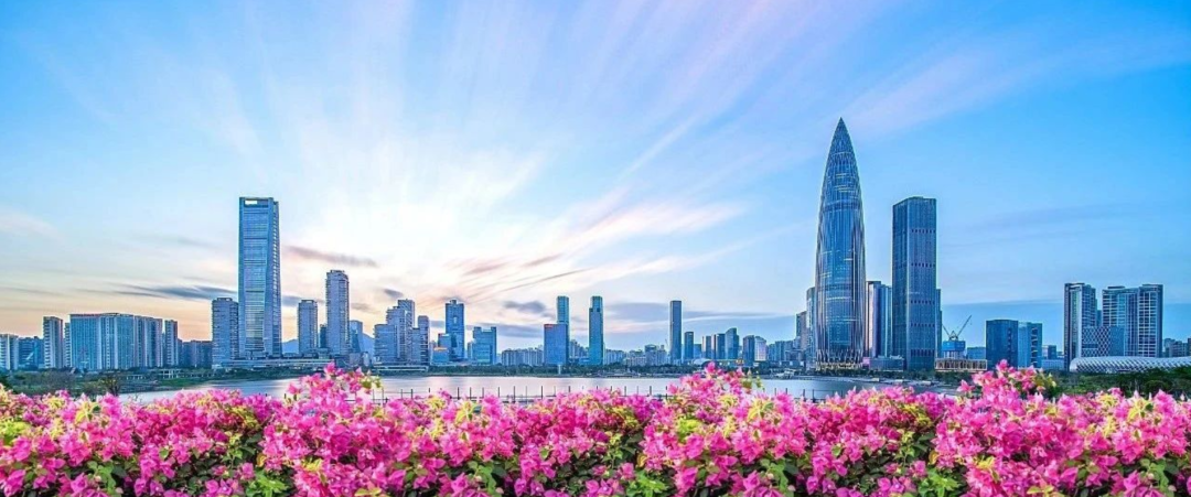 深圳住房公积金制度_深圳公积金贷款买车_深圳公积金缴存数据