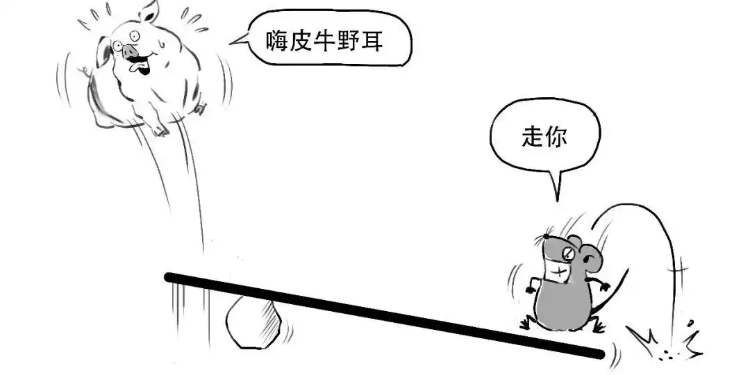 融资融券保证金比例计算_融资融券 融资余额 融券余额是什么意思_融资融券杠杆交易