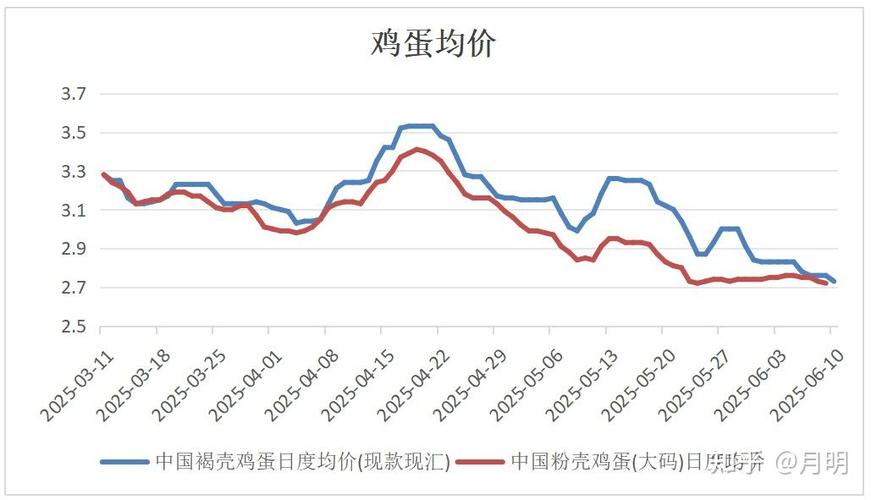 鸡蛋基本面信息解读_鸡蛋期货论坛_鸡蛋价格走势分析