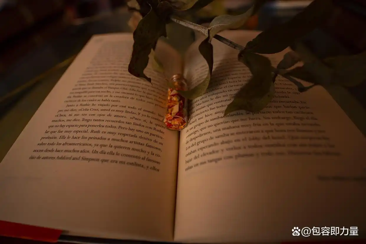 2026年考研专硕学费资助政策_研究生学费可以贷款吗_研究生奖助学金体系解读