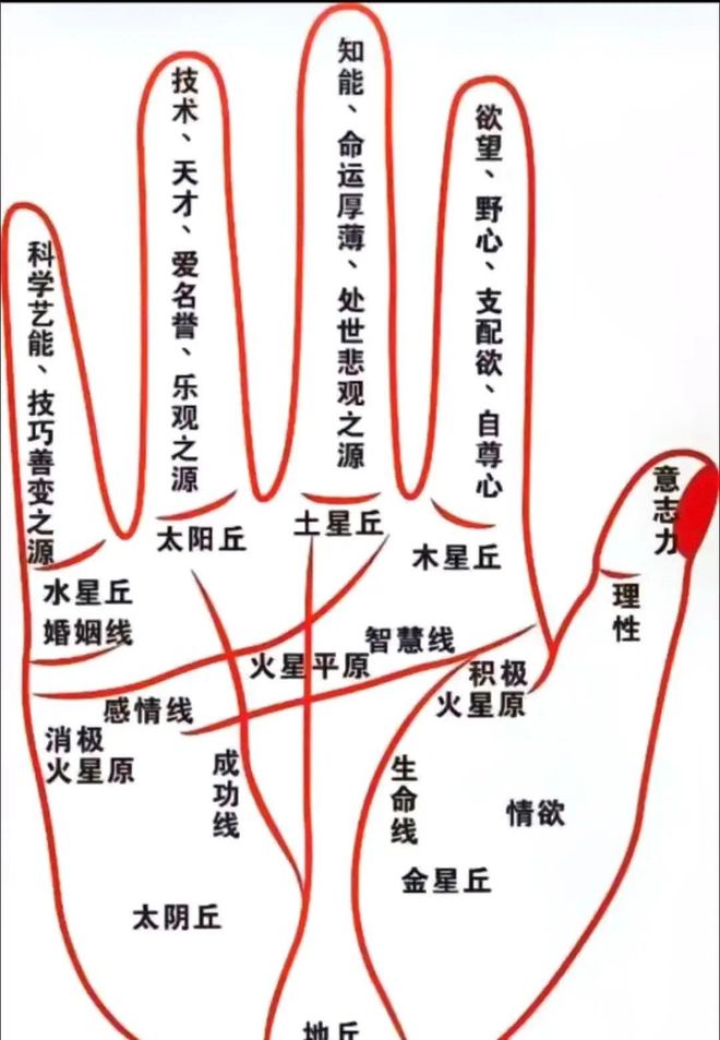 理财线手相图解_古代手相故事_手相断富贵