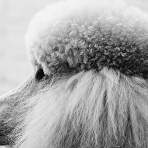 私人高利贷款后果_未面谈及查看证据材料律师回答仅供参考_民间高利贷款