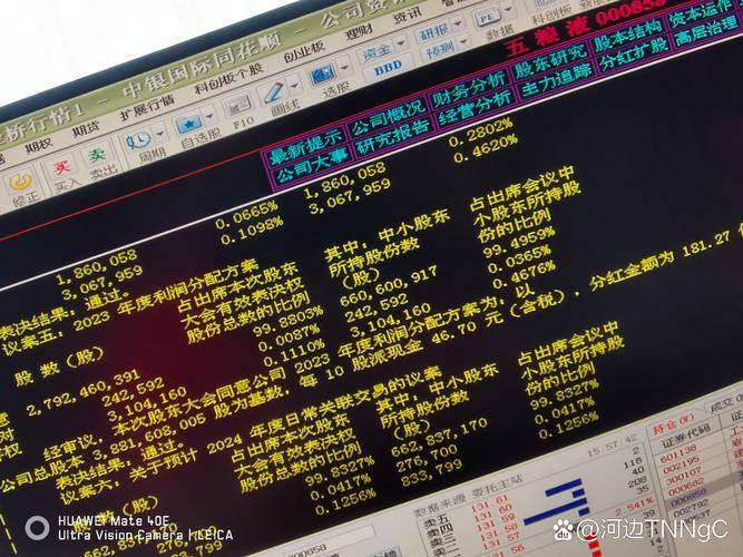 A股权重蓝筹股融券做空债务化解机制 _转融券 转融资 转融通_ 融券交易规则与市场约束体系